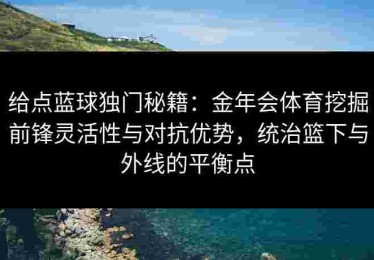 给点蓝球独门秘籍：金年会体育挖掘前锋灵活性与对抗优势，统治篮下与外线的平衡点
