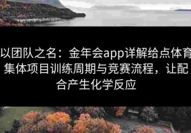 以团队之名：金年会app详解给点体育集体项目训练周期与竞赛流程，让配合产生化学反应