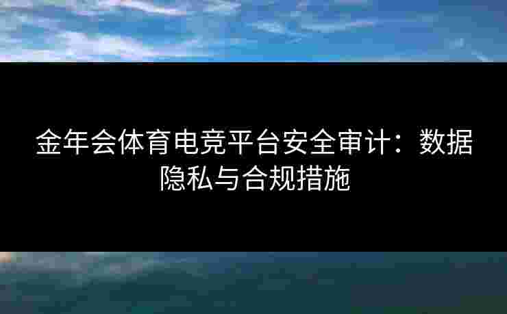 金年会体育电竞平台安全审计：数据隐私与合规措施